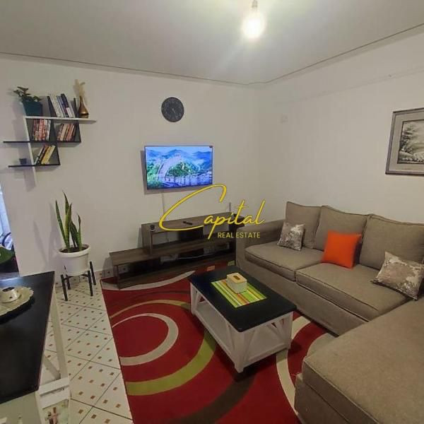 Apartament me qera 1+1 ali demi 35.000 leke