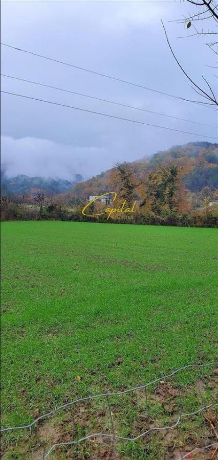 Shitet toke 3.500 m2 petrele 315.000 euro