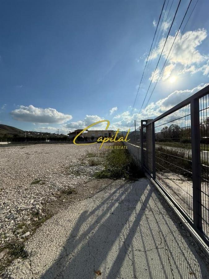 Toke me qera 4000 m2 kashar 1.500 euro