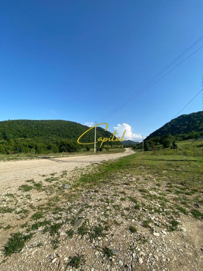 Toke me qera 6000 m2 peze-helmes 3000 euro