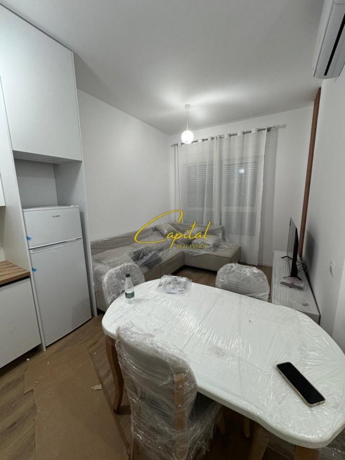 Apartament me qira 1+1 ali demi 450 euro