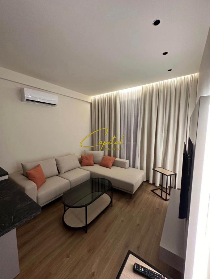 Apartament me qira 1+1 ali demi 550 euro