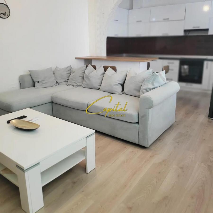 Apartament dublex me qira 1+1 ali demi 550 euro