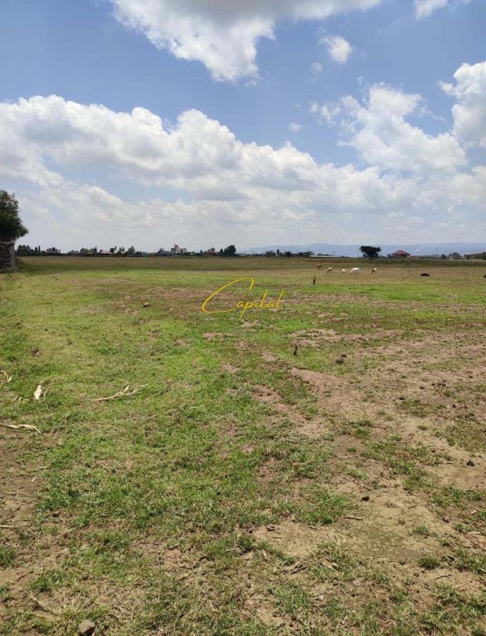Toke me qira 1.500 m2 mullet 100.000 leke