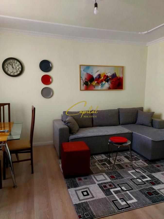 Apartament me qira 1+1 ali demi 48.000 leke