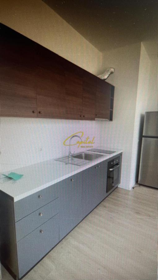 Apartament me qira 1+1 pazari i ri 450 euro