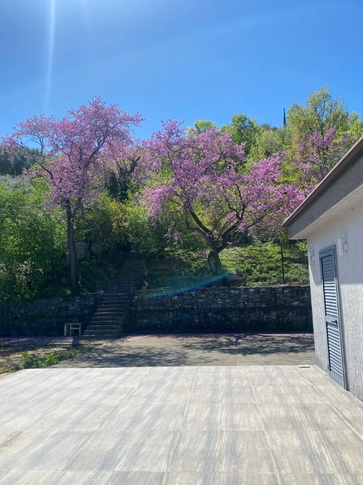 Shitet shtepi +toke ne vishaj  315.000 €