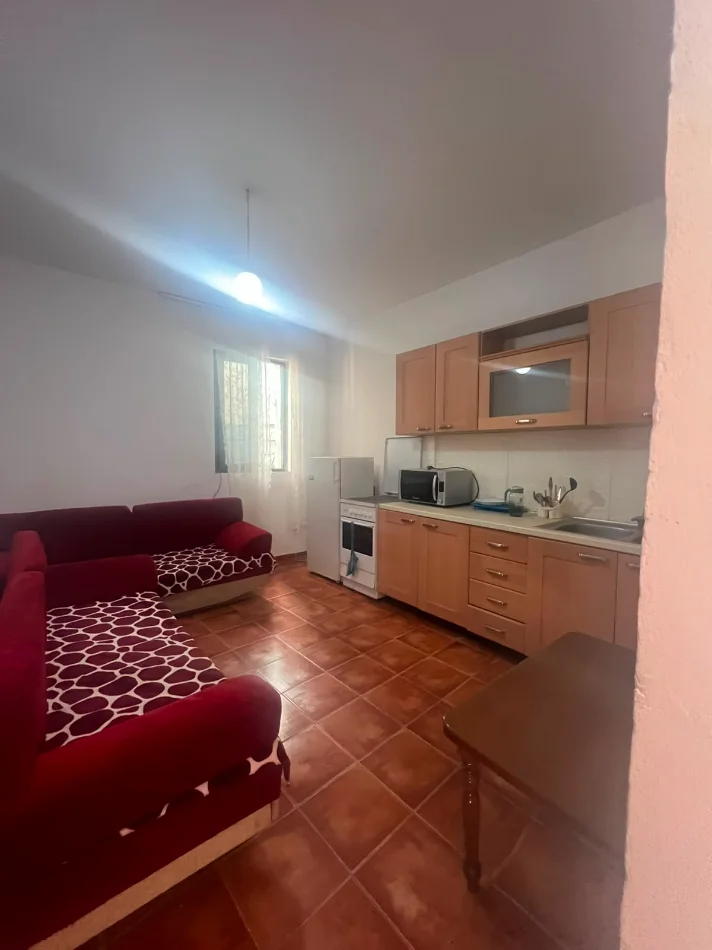 Tirane, jap me qera apartament 1+1 Kati 1, 400 € (Robert Shvarz)