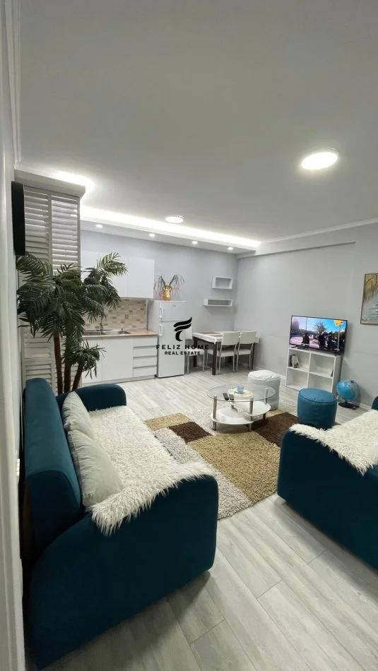 Tirane, jepet me qera apartament 1+1+Ballkon Kati 3, 73 m² 650 € (KOMUNA E PARISIT)