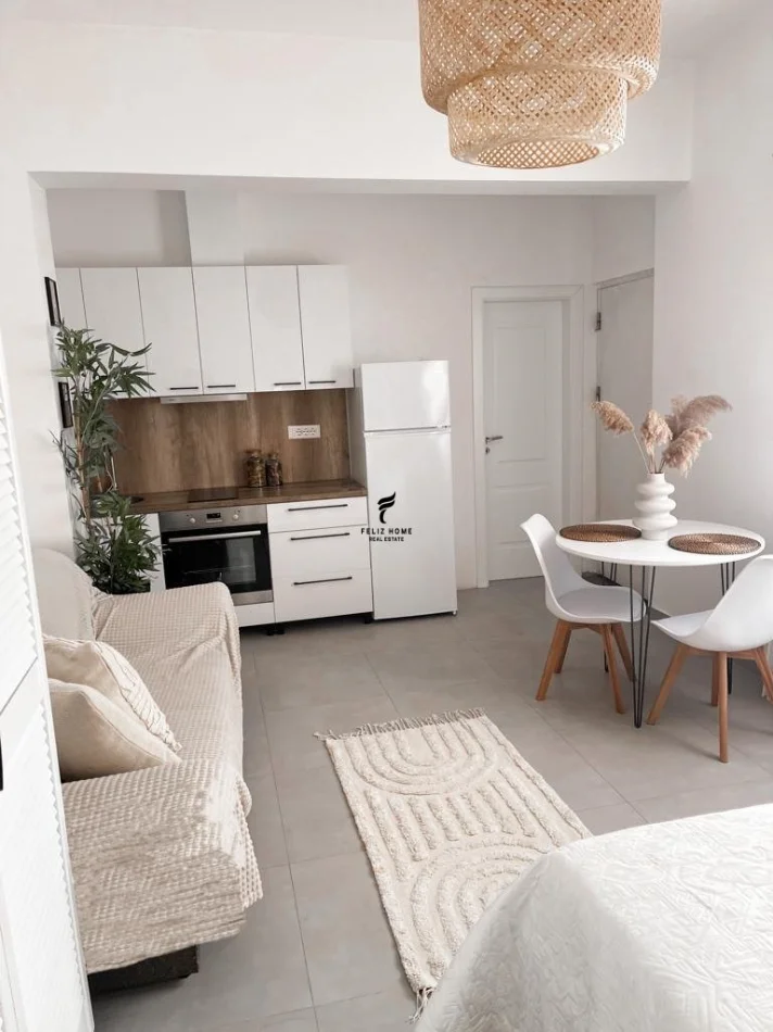 Tirane, jepet me qera apartament 1+1 Kati 1, 50 m² 400 € (STACIONI I TRENIT)