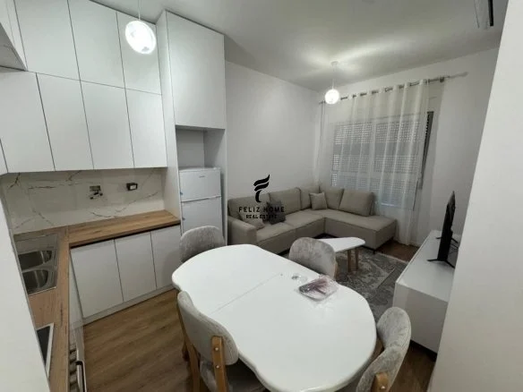 Tirane, jepet me qera apartament 1+1 Kati 1, 55 m² 450 € (ALI DEMI)