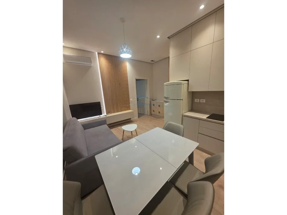 Tirane, jepet me qera apartament 1+1 Kati 1, 55 m² 650 € (rruga e dibres)