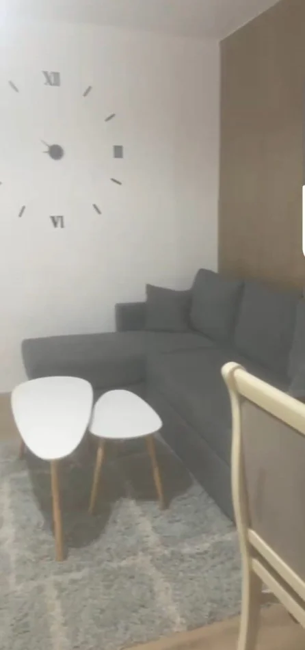 Tirane, jepet me qera apartament 1+1 Kati 1, 58 m² 600 € (21 Dhjetori)