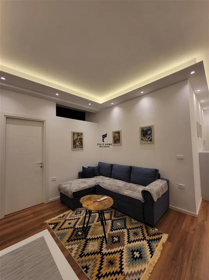 Tirane, jepet me qera apartament 1+1 Kati 1, 60 m² 550 € (RRUGA E DURRESIT)