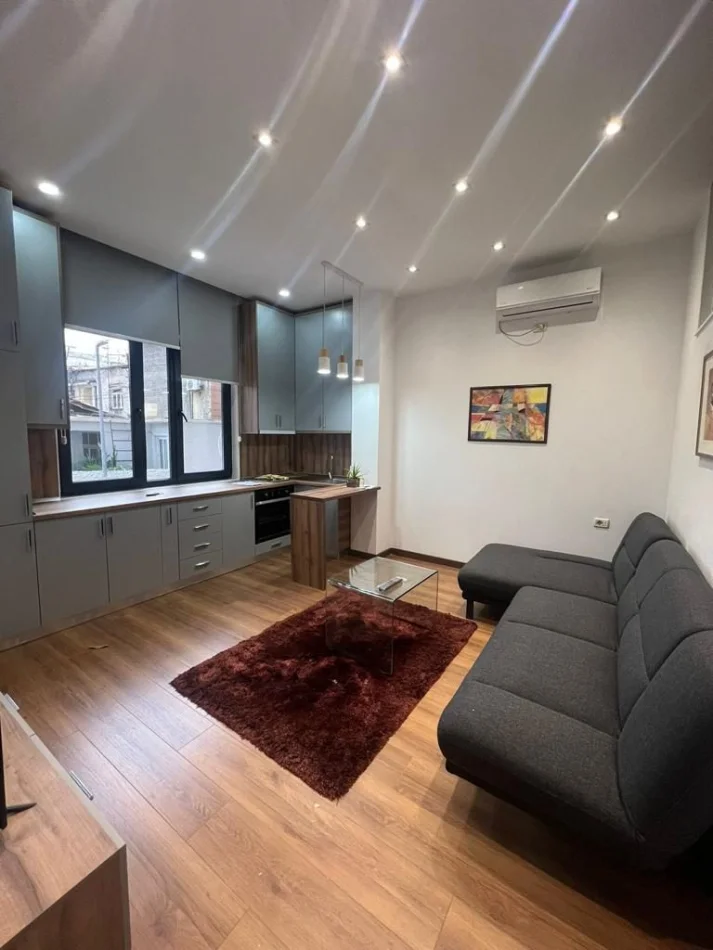 Tirane, jepet me qera apartament 1+1 Kati 1, 60 m² 600 € (Selvia)