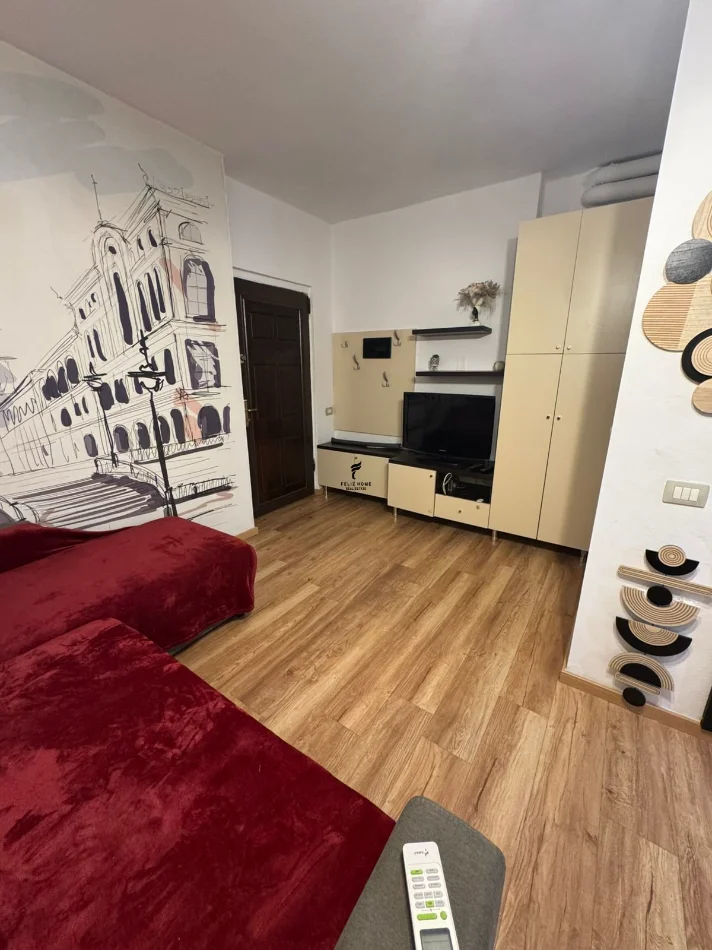 Tirane, jepet me qera apartament 1+1 Kati 1, 65 m² 450 € (21 DHJETORI)