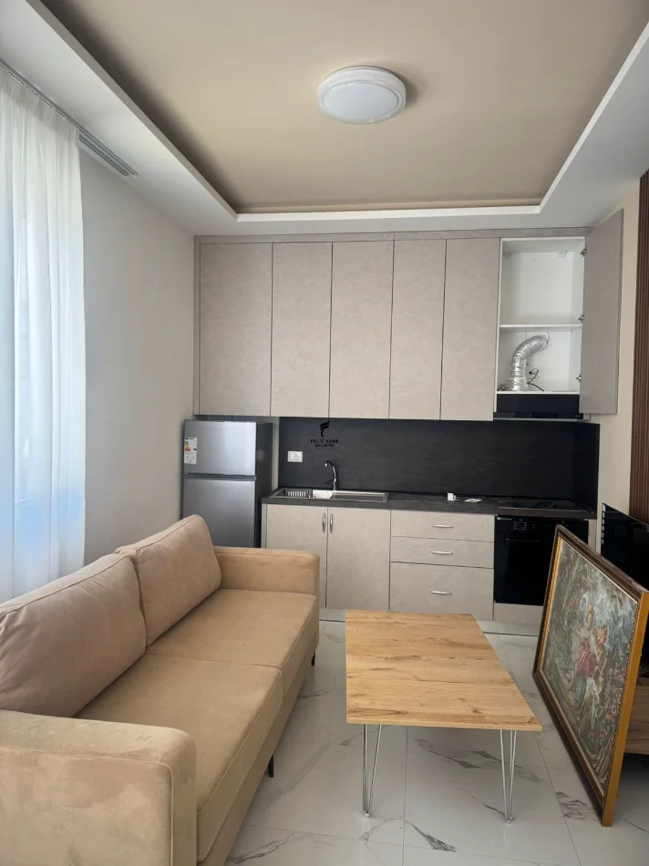 Tirane, jepet me qera apartament 1+1 Kati 1, 75 m² 450 € (5 maji)