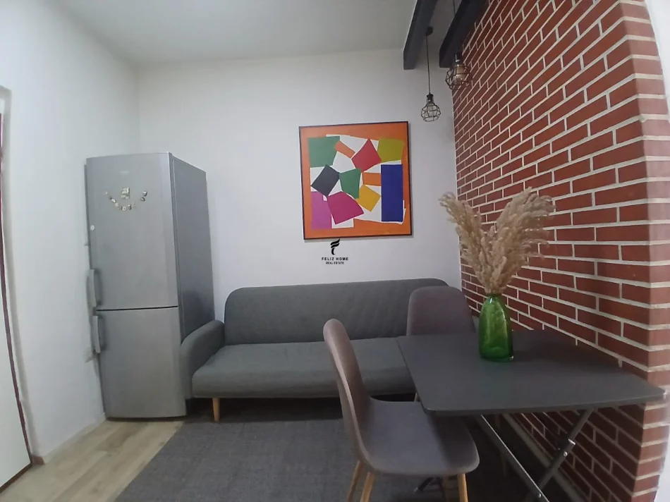 Tirane, jepet me qera apartament 1+1 Kati 3, 65 m² 650 € (MYSLYM SHYRI)