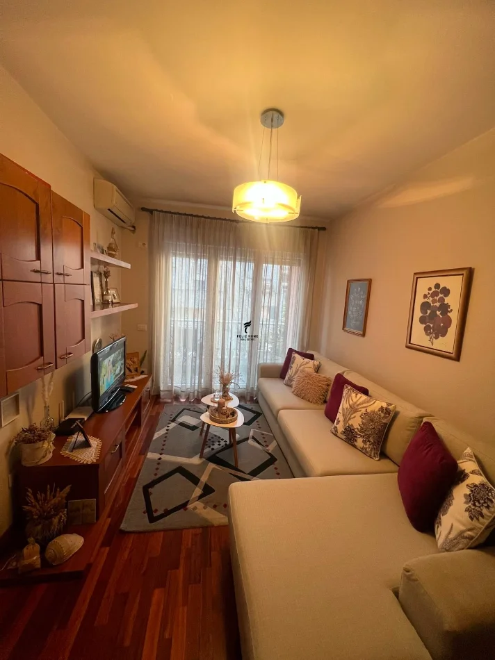 Tirane, jepet me qera apartament 1+1 Kati 4, 65 m² 550 € (FROSINA PLAKU)