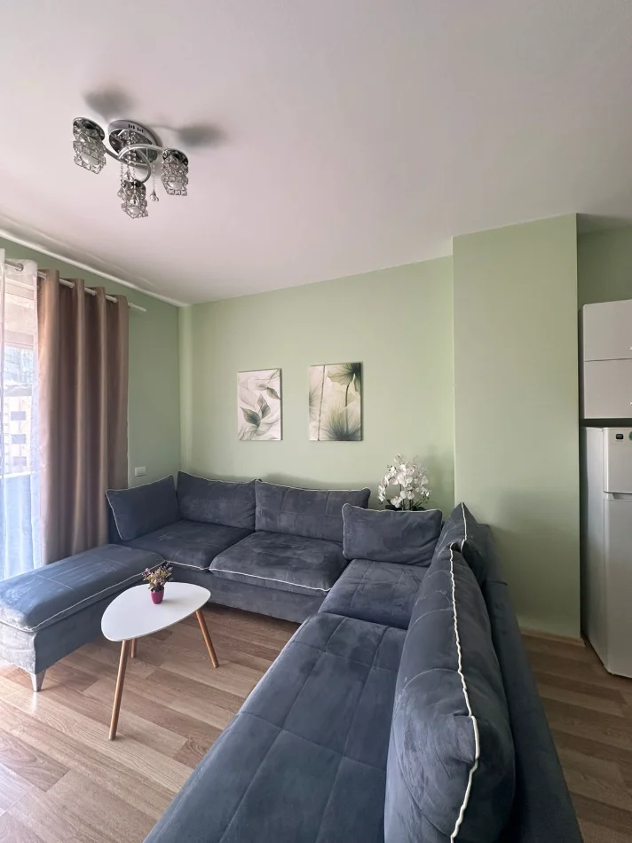 Tirane, jepet me qera apartament 1+1 Kati 9, 70 m² 700 € (QENDER)