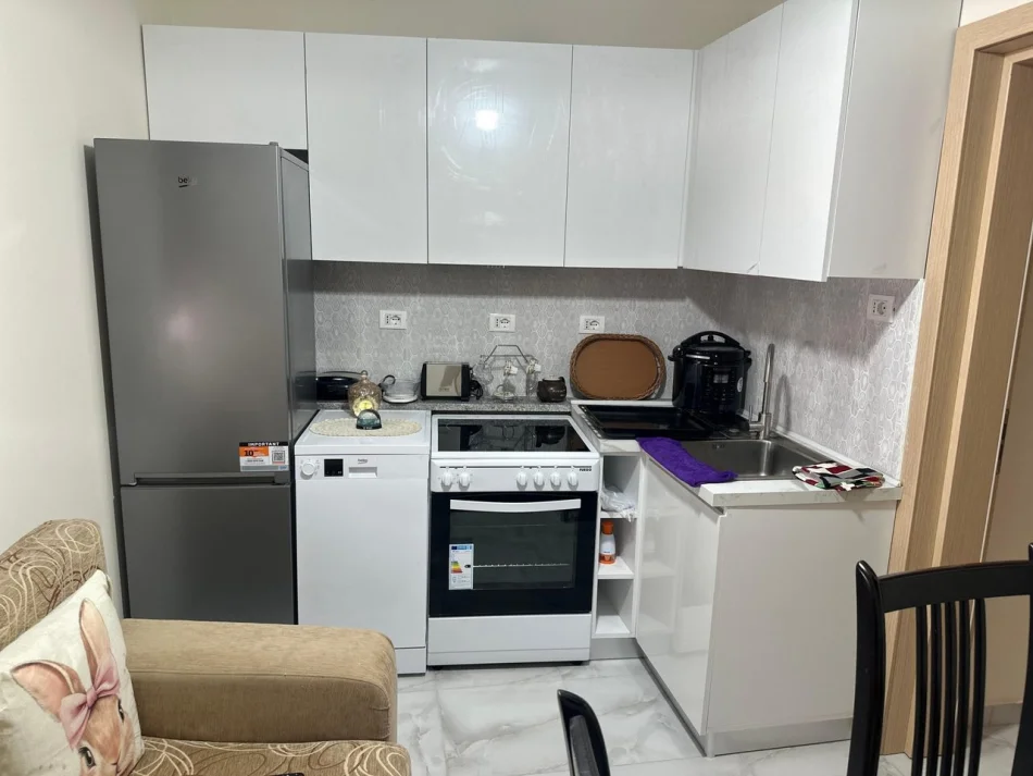 Tirane, jepet me qera apartament 2+1 Kati 1, 75 m² 450 € (Rruga Shefqet Kuka)