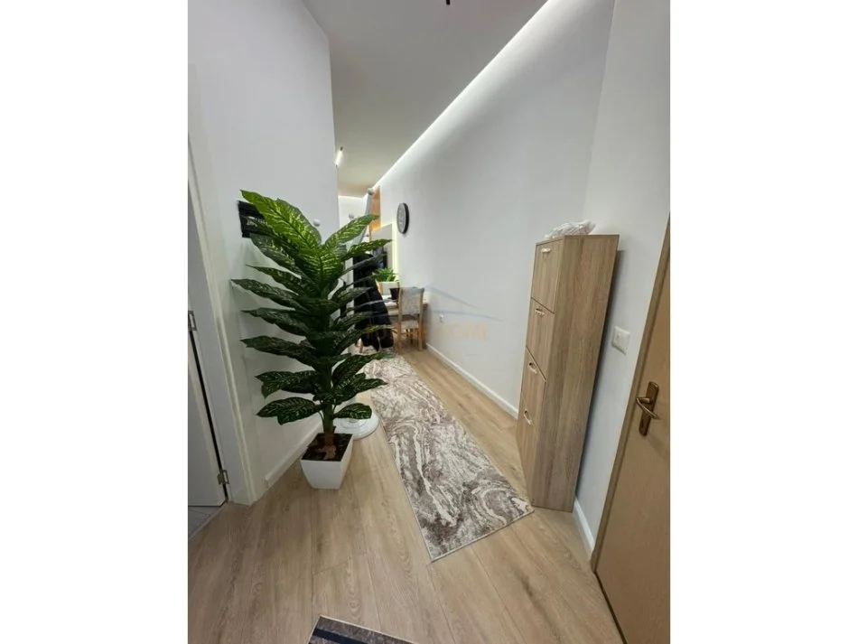 Tirane, shes apartament 2+1 Kati 1, 66 m² 125.000 € (Shitet, Apartament 2+1, Fresk.)